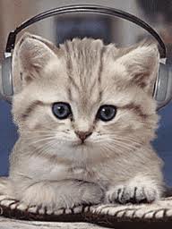cat listening to music-thumb-238x317-369715
